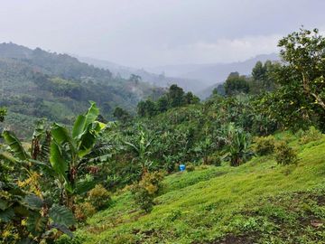 VENTA FINCA LA ITALIA-RIO FRIO