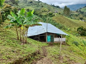 VENTA FINCA LA ITALIA-RIO FRIO