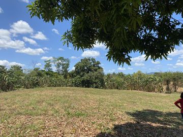 Affordable Pre-selling 996 sqm Farm Lot for sale in Magallanes Cavite