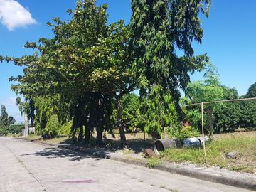 8700 sqm vacant industrial lot inside Industrial Park along Centennial Highway Tanza Cavite (1 hr from Manila)