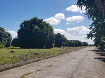 8700 sqm vacant industrial lot inside Industrial Park along Centennial Highway Tanza Cavite (1 hr from Manila)