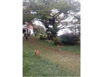 VENTA DE CASA FINCA EN PAVAS