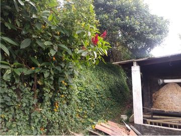 VENTA DE CASA FINCA EN PAVAS