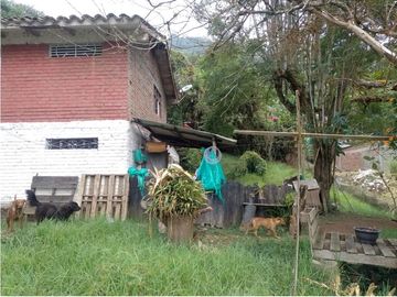 VENTA DE CASA FINCA EN PAVAS