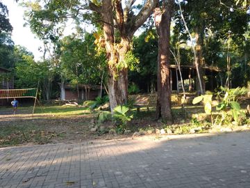 Ocasion Terreno En Venta Ex Alojamiento La Jungla