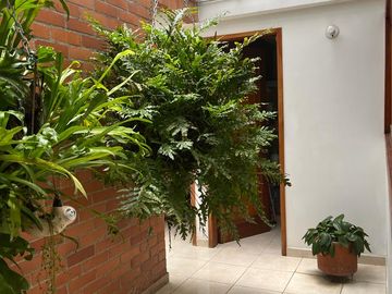 VENDO CASA CAMPESTRE SECTOR PANCE