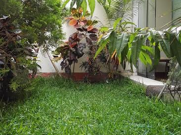 Venta de casa de 4 pisos en Magdalena