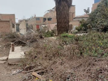 OCASIÓN LINDO TERRENO MUY CERCA DE LA PANAMERICANA NORTE