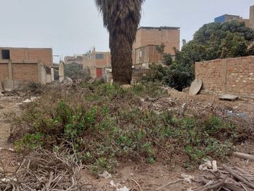OCASIÓN LINDO TERRENO MUY CERCA DE LA PANAMERICANA NORTE