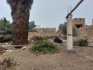 OCASIÓN LINDO TERRENO MUY CERCA DE LA PANAMERICANA NORTE