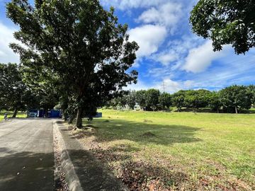 Starts At 30.000 Per Sqm Lot For Sale In Manila Southwoods Residential Estate Near Southwoods Exit