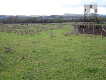 TERRENO AGRÍCOLA GANADERO DE 58 HÁ. EN LA COMUNA DE LANCO
