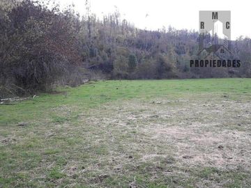 TERRENO AGRÍCOLA GANADERO DE 58 HÁ. EN LA COMUNA DE LANCO