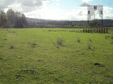 TERRENO AGRÍCOLA GANADERO DE 58 HÁ. EN LA COMUNA DE LANCO