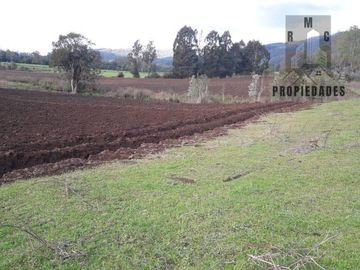 TERRENO AGRÍCOLA GANADERO DE 58 HÁ. EN LA COMUNA DE LANCO