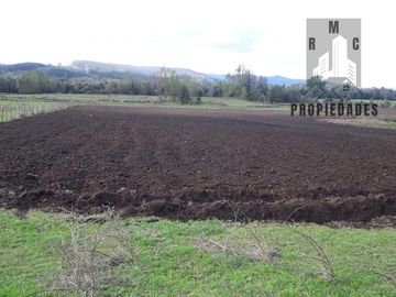 TERRENO AGRÍCOLA GANADERO DE 58 HÁ. EN LA COMUNA DE LANCO