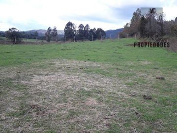 TERRENO AGRÍCOLA GANADERO DE 58 HÁ. EN LA COMUNA DE LANCO