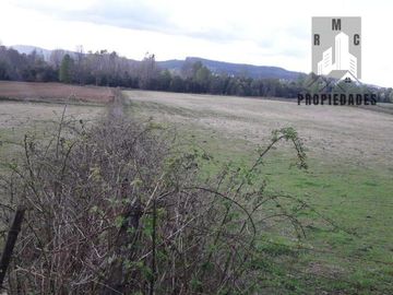 TERRENO AGRÍCOLA GANADERO DE 58 HÁ. EN LA COMUNA DE LANCO