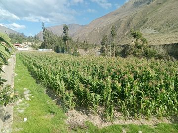 Terreno en Ollantaytambo 3330 m2 cusco Perú