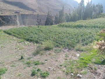 Terreno en Ollantaytambo 3330 m2 cusco Perú