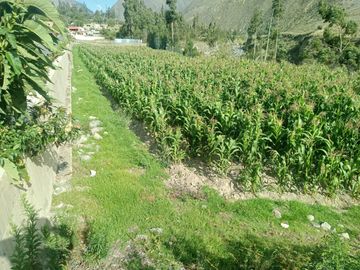 Terreno en Ollantaytambo 3330 m2 cusco Perú