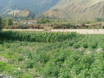 Terreno en Ollantaytambo 3330 m2 cusco Perú