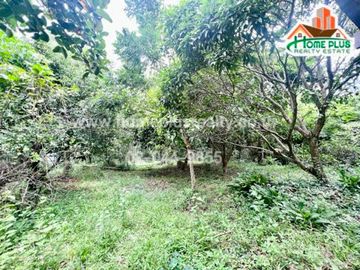 ที่ดินพร้อมบ้านเดี่ยวชั้นเดียวตำบลหนองสรวง อำเภอวิหารแดง สระบุรี (ใกล้วัดวิหารแดง)