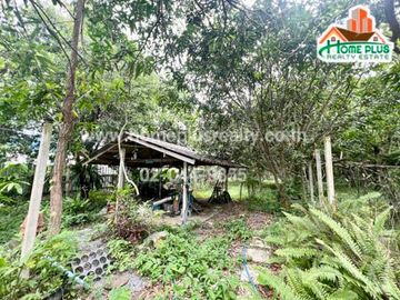 ที่ดินพร้อมบ้านเดี่ยวชั้นเดียวตำบลหนองสรวง อำเภอวิหารแดง สระบุรี (ใกล้วัดวิหารแดง)