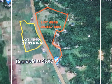 Commercial Lot For Sale in Sorsogon City
