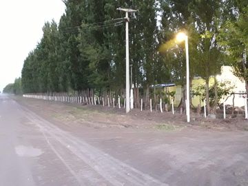 Casa con finca en Alvear Mendoza acepta permuta