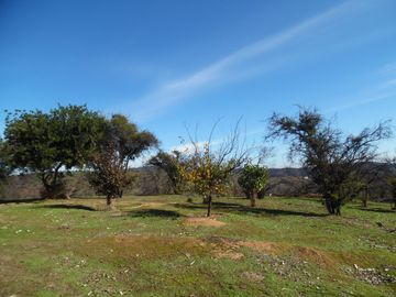 Quebrada Escobares,sector aguas Frias