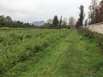 VENDE TERRENO INDUSTRIAL PLANO, PAINE, EXCELENTE UBICACION Y ACCESOS