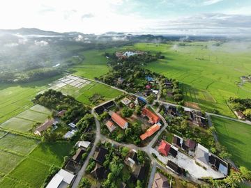 12 Rai of rice paddy field for sale in Doi Saket