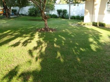 VENTA CASA DE CAMPO Y TERRENO 499.000 NEGOCIABLES IDEAL PARA DESCANSO (MEDICOS - CONSTRUCTORES)