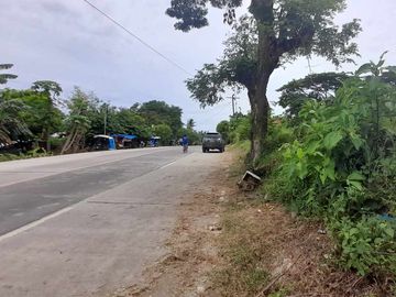 Commercial Lot for Sale near Medellin Airport, 10,000 sqm