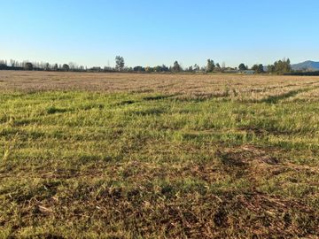 ULTIMOS! Vende parcelas de 5.800 m2, luz electria, acciones de agua en Colbun