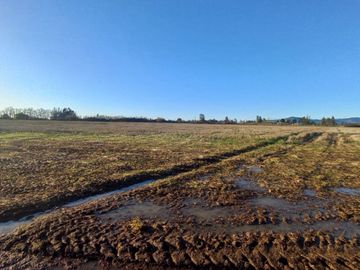 ULTIMOS! Vende parcelas de 5.800 m2, luz electria, acciones de agua en Colbun