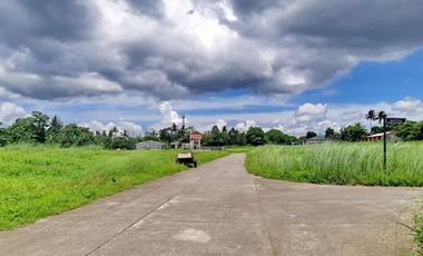Commercial/Residential Lot for Sale in Asenso Village