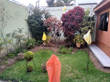 SURCO VENTA CASA 302 M2  (12.10 X 25.0) PARAMETROS 5 PISOS AV. PASEO LA CASTELLANA