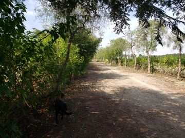Venta de terreno en exclusivo condominio Azahares en Chincha