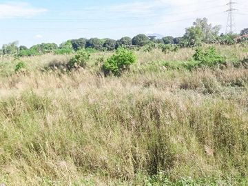 JDL - FOR SALE: 5.6 Hectare Agricultural Lot in Guagua Pampanga