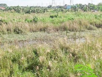 JDL - FOR SALE: 5.6 Hectare Agricultural Lot in Guagua Pampanga