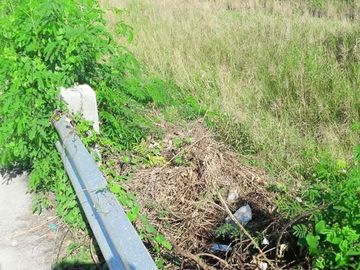 JDL - FOR SALE: 5.6 Hectare Agricultural Lot in Guagua Pampanga