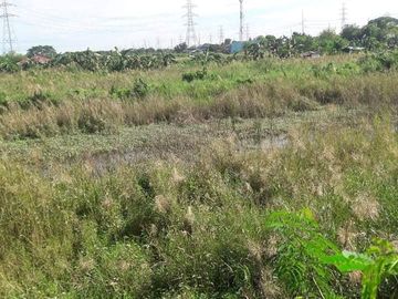 JDL - FOR SALE: 5.6 Hectare Agricultural Lot in Guagua Pampanga