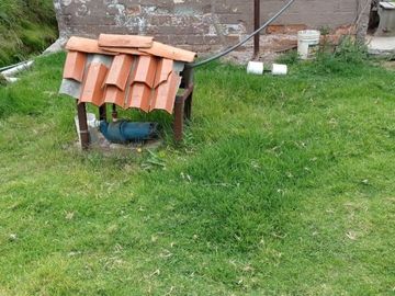 Vendo Quinta con Amplio Terreno Sector Cojitambo