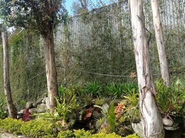 🏘️ Casa Mansión de 4 Dormitorios  en San Joaquín en Venta