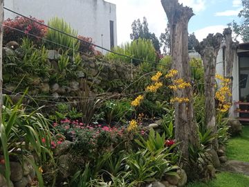 🏘️ Casa Mansión de 4 Dormitorios  en San Joaquín en Venta