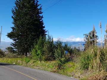 VENTA DE TERRENO SECTOR HUACHI GRANDE EN AMBATO