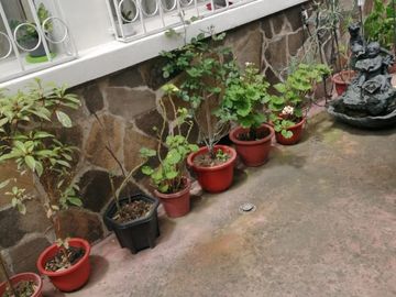 Casa rentera de 3 departamentos en Venta. Seminario Mayor /  Av América y Colón. / Parque Italia / Seminario Mayor