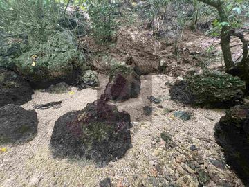 Beach lot for sale in Borbon Cebu Philippines